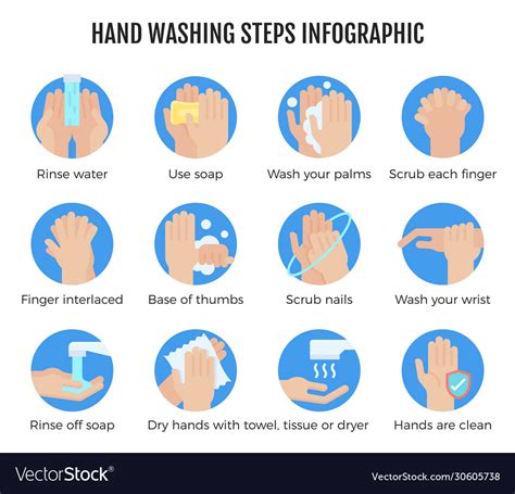 Hand Washing Steps Infographic Hand Washing Vector Image