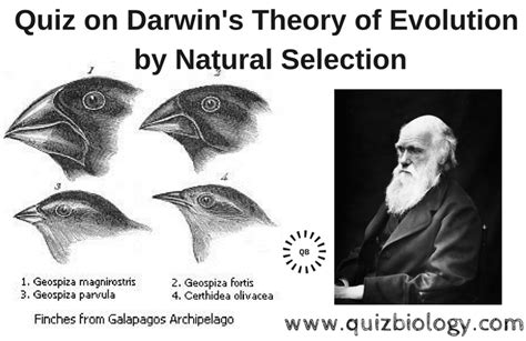 Quiz On Darwin S Theory Of Evolution By Natural Selection Theory Of