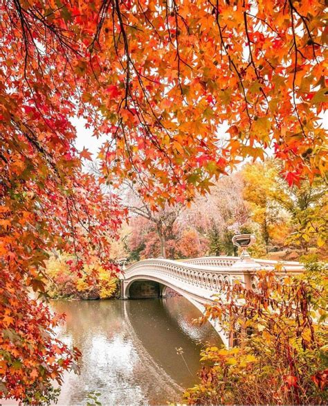 Central Park In Fall Fall Pictures Scenery Beautiful Nature