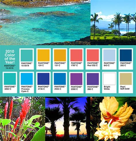 Download 350 Explore Colors Tropical Violet Coloring Pages Png Pdf File