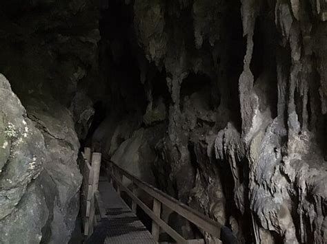 Kawiti Caves Kawakawa 2021 What To Know Before You Go With Photos