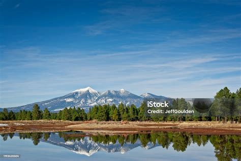 San Francisco Peaks Reflected In A Pond Stock Photo Download Image