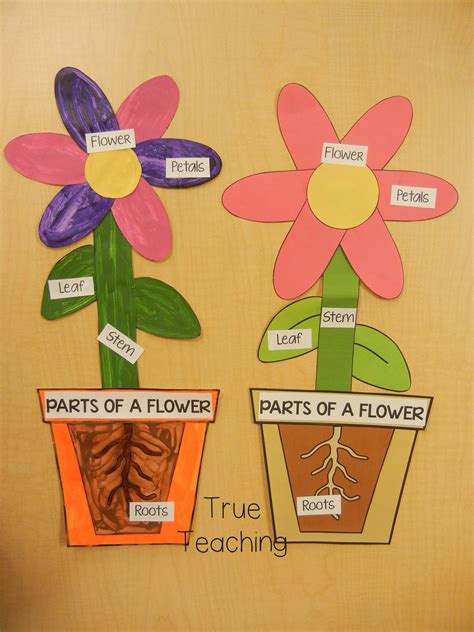 Parts Of A Flower Craft Parts Of A Flower Kindergarten Crafts