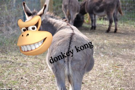 Donkey Kong Imgflip