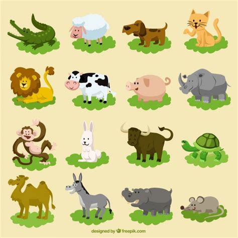16 Gambar Kartun Haiwan Peliharaan Kumpulan Gambar Kartun Images And