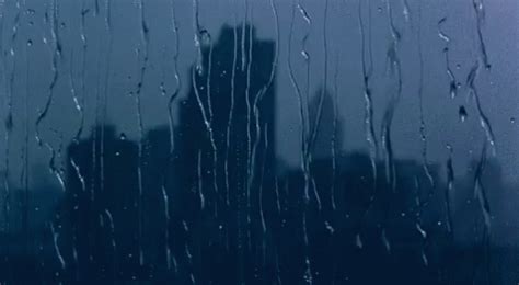 Actualizado ✅ ¿necesitas descargar fondos de pantalla en movimiento y salvapantallas animados gratis para android o iphone y no sabes como hacerlo? Rain Raining GIF - Rain Raining Beautiful - Discover ...