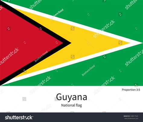 National Flag Of Guyana With Correct Proportions Royalty Free Stock