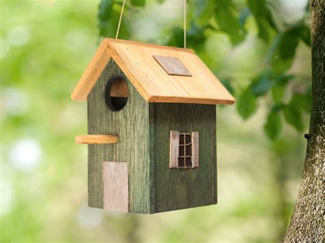 Esta es una web sobre todo tipo de pajaros, veremos fotos y videos de la cria en cautividad de pajaros de canto,adorno y vuelo. Pájaros - Casita de pájaros de madera. casa para pájaros ...
