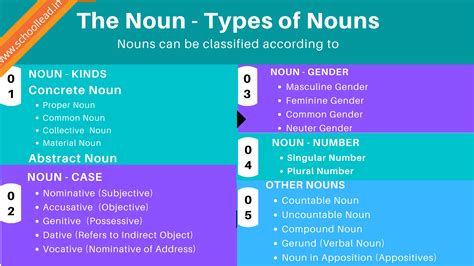 Types Of Nouns The Noun School Lead