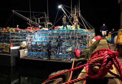 Crew Safe After Boat Sinks On 1st Day Of Lobster Fishing Season Cbc News