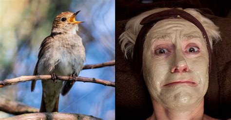 There Is A Bird Poop Facial And People Are Paying ₹18k For It