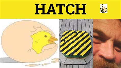 🔵 Hatch Hatch Meaning Hatch Examples Hatch Defined Gre 3500