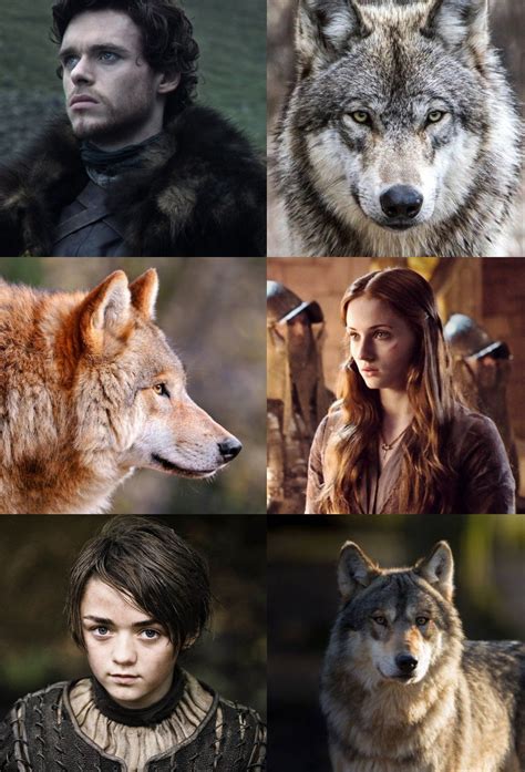 The Starks And Their Dire Wolves Book Like Games Of Thrones Game Of
