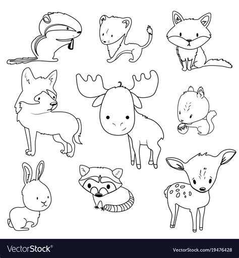Forest Animals Outlines Set Royalty Free Vector Image