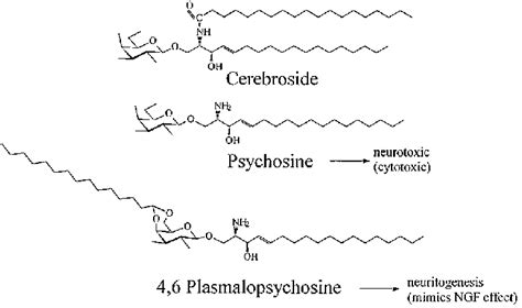 Structures Of Cerebroside Galactosylceramide Psychosine