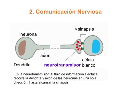 Tipos De Comunicación Celular