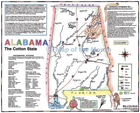 Alabama Map Blank Outline Map 16 By 20 Inches