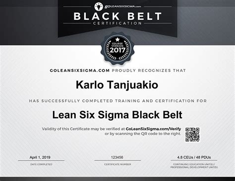 Black Belt Training And Certification