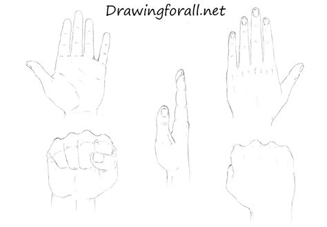 How To Draw The Middle Finger 7115 Svg Skeleton Hand Showing 1
