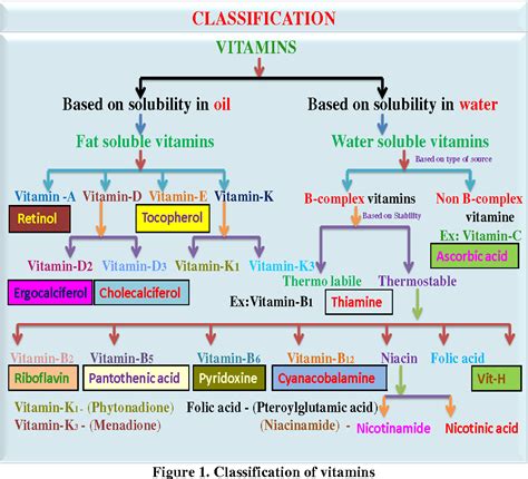 Figure From Classification Vitamins Based On Solubility In Oil Based On Solubility In Water