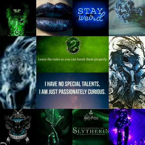 Raverin Ravenclaw Hogwarts Slytherin