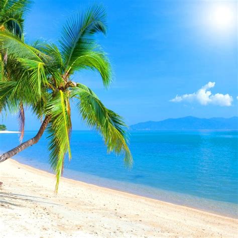 10 Best Caribbean Beach Pictures Wallpaper Full Hd 1920×1080 For Pc