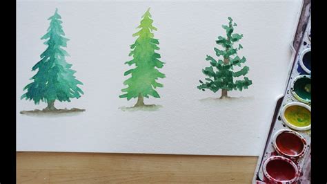 Watercolor Evergreen Trees At Explore Collection