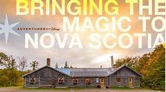 Georgetown Car Rental Magic Unforgettable Adventures Start Here