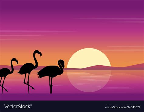 Art Flamingo Silhouette Scene At Sunset Royalty Free Vector
