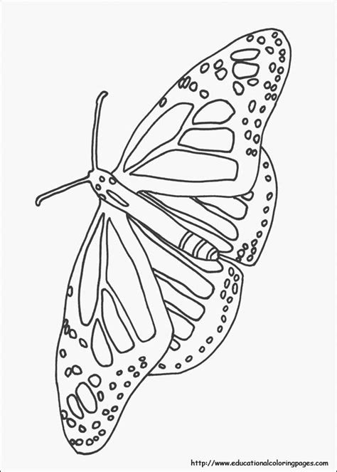 nature coloring pages educational fun kids coloring pages  preschool skills worksheets