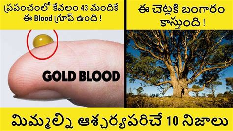 Top 10 Unknown Facts In Telugu Interesting And Amazing Facts Ep 11 Sr Facts Telugu Youtube
