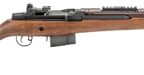Springfield M1a Scout Squad Review