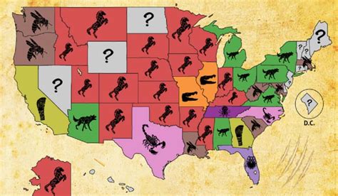 Infographic The Deadliest Animals In Each State Outdoorhub