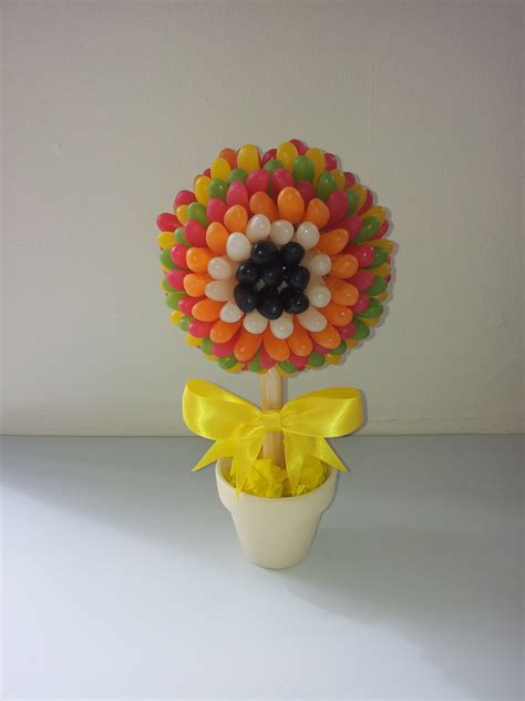 Small Jelly Bean Tree Approximately 10 Inches25 Cms Tall And 10