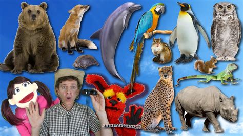 What Do You See Song Wild Animals Part 2 Learn English