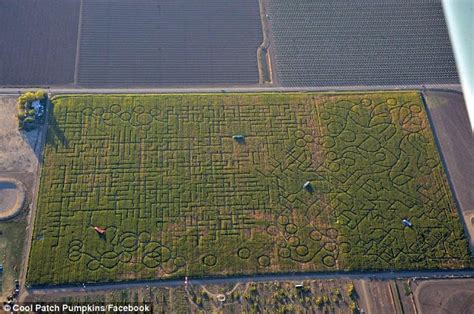 Desperate 911 Calls Of People Stuck In Worlds Largest Corn Maze Released Daily Mail Online