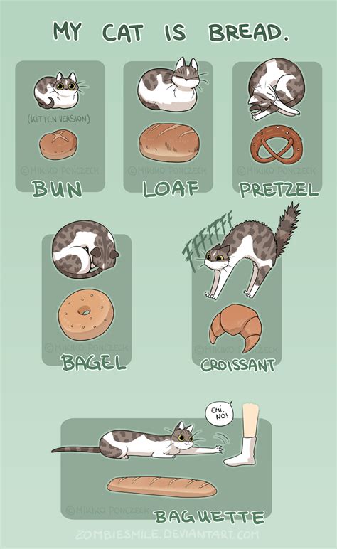 Cat Bread By Zombiesmile On Deviantart