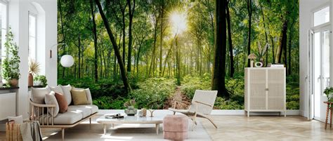Forest Decorate With A Wall Mural Photowall