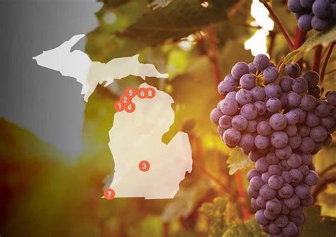 Best Of Michigan Wineries Michigan Country Lines Magazine