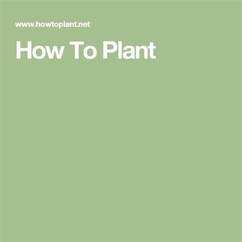 How To Plant Plant Guide Plants Tutorial