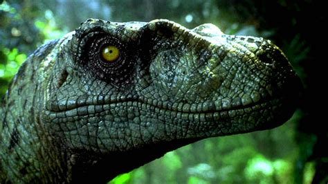 Jurassic Park Adventure Sci Fi Fantasy Dinosaur Movie Film