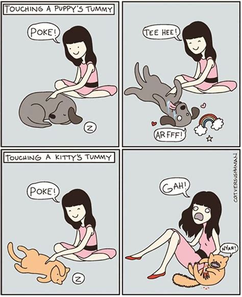 Differences Between Cats And Dogs 60 Funny Pictures Funnyfoto Page 10