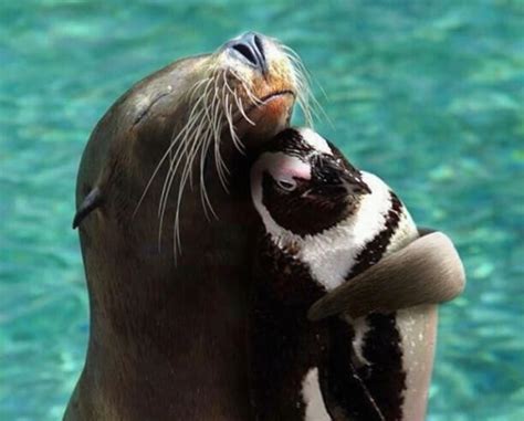 10 Cutest Animals Pictures That Will Make Your Heart Melt
