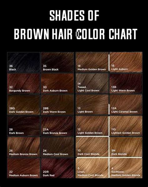 shades brown hair color chart