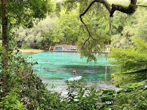 Rainbow Springs Tubing Is A Must Do Activity Floridaing