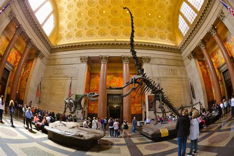 Exhibit Of The Day Barosaurus And Allosaurus Its The Worlds Tallest