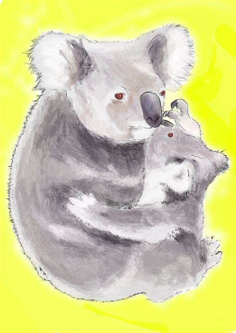 Koala By Bitoyski On Deviantart