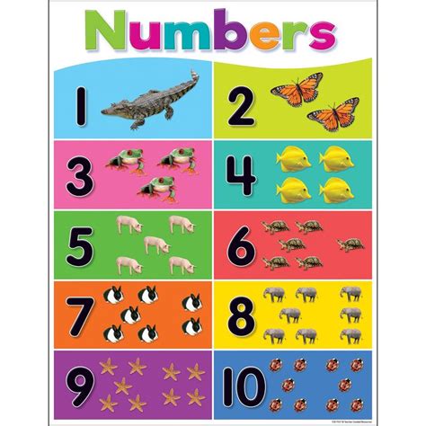 Colorful Numbers 1 10 Chart Numbers Preschool Kids Worksheets