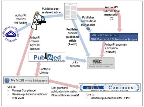 Compliance Nih Public Access Policy Compliance Libguides At