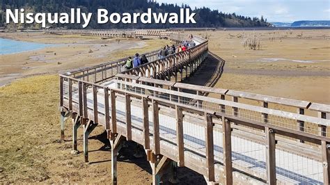 Nisqually Boardwalk Virtual Hike Billy Frank Jr Nisqually National